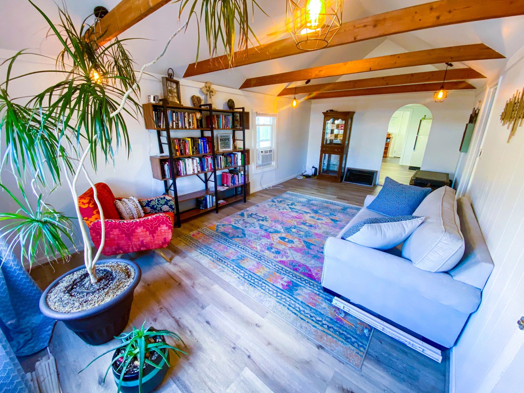 Calm living room with plants and natural light